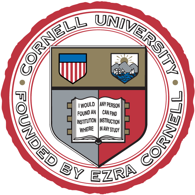 Cornell Big Red 1865-Pres Alternate Logo diy fabric transfer